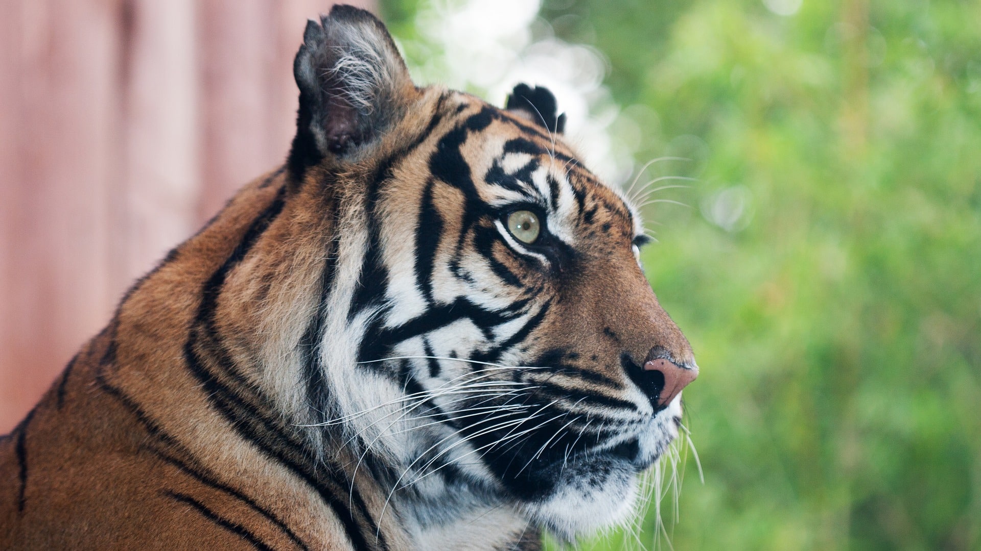 ZSL London Zoo, tourist places to visit in London