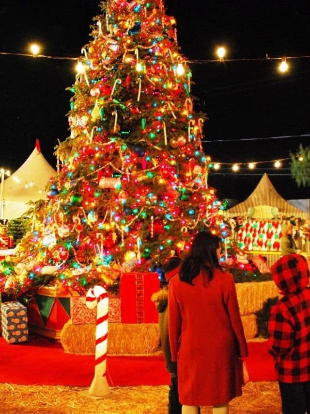 Top 10 Best Christmas Events in the UK